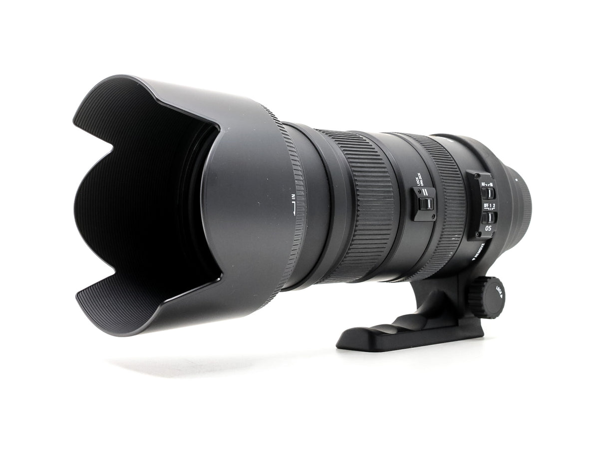 Sigma 50-500mm f/4-6.3 EX APO DG HSM - Compatibile con Canon EF