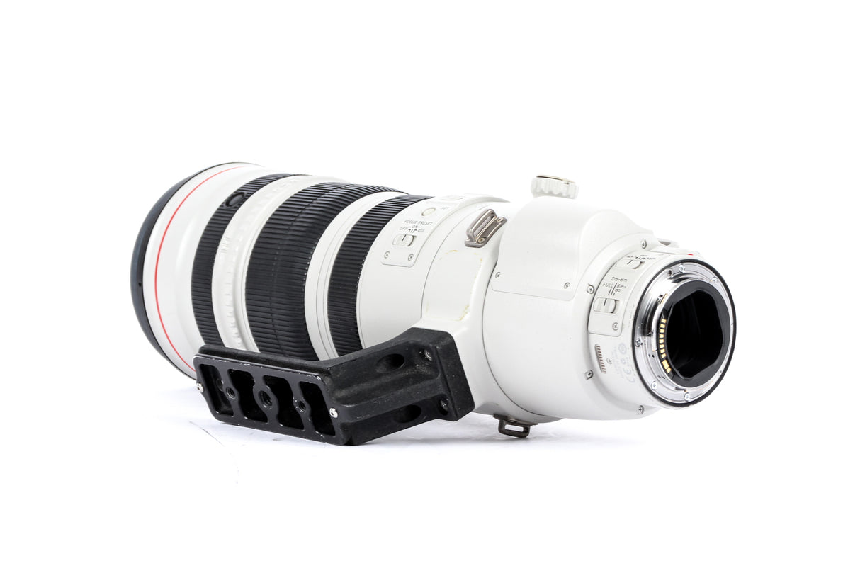 Canon EF 200-400mm f/4 L IS USM con extender 1,4x