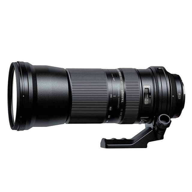 Obiettivi 150-600 mm f/5-6.3  · immagine principale