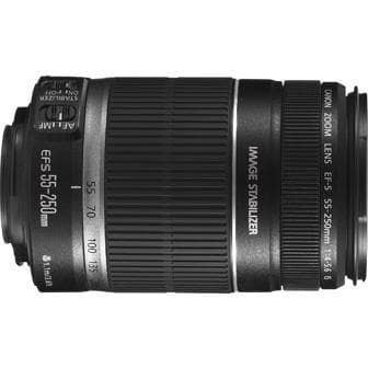 Canon Lenses Canon EF-S 55-250mm f/4-5.6  · main image