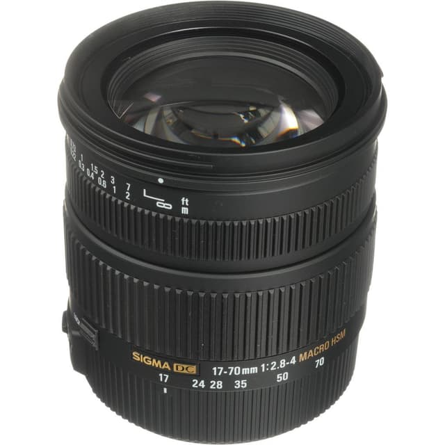 Obiettivi Sigma Nikon AF 17-70mm f/2.8-4.5  · immagine principale