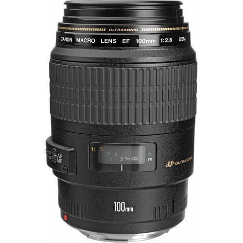 Obiettivi EF 100mm f/2.8  · immagine principale