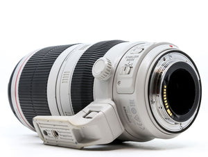 Canon EF 100-400mm f/4.5-5.6 L IS II USM