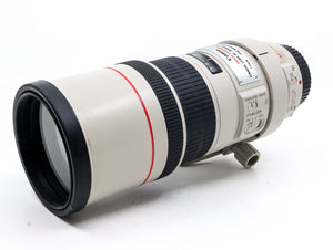 Canon EF 300mm f/4 L USM