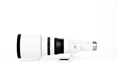 Obiettivo Canon RF 800mm f/5.6 L IS USM 