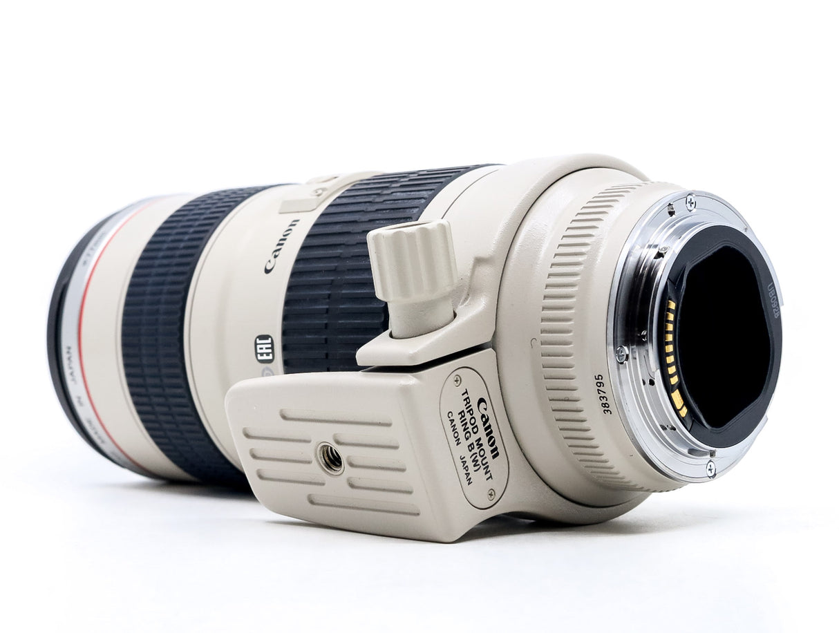 Canon EF 70-200mm f/2.8 L USM