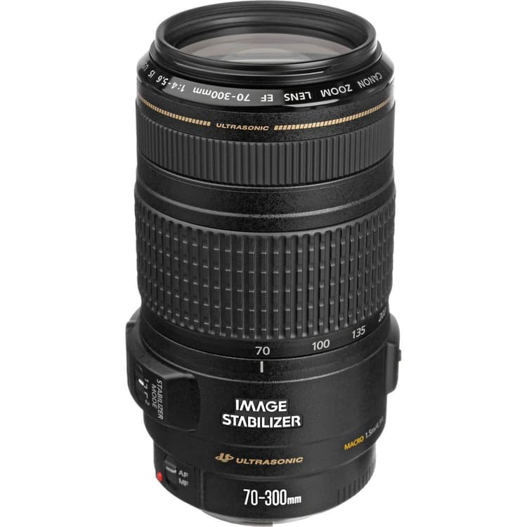 Obiettivi Canon EF 70-300mm f/4-5.6  · immagine principale