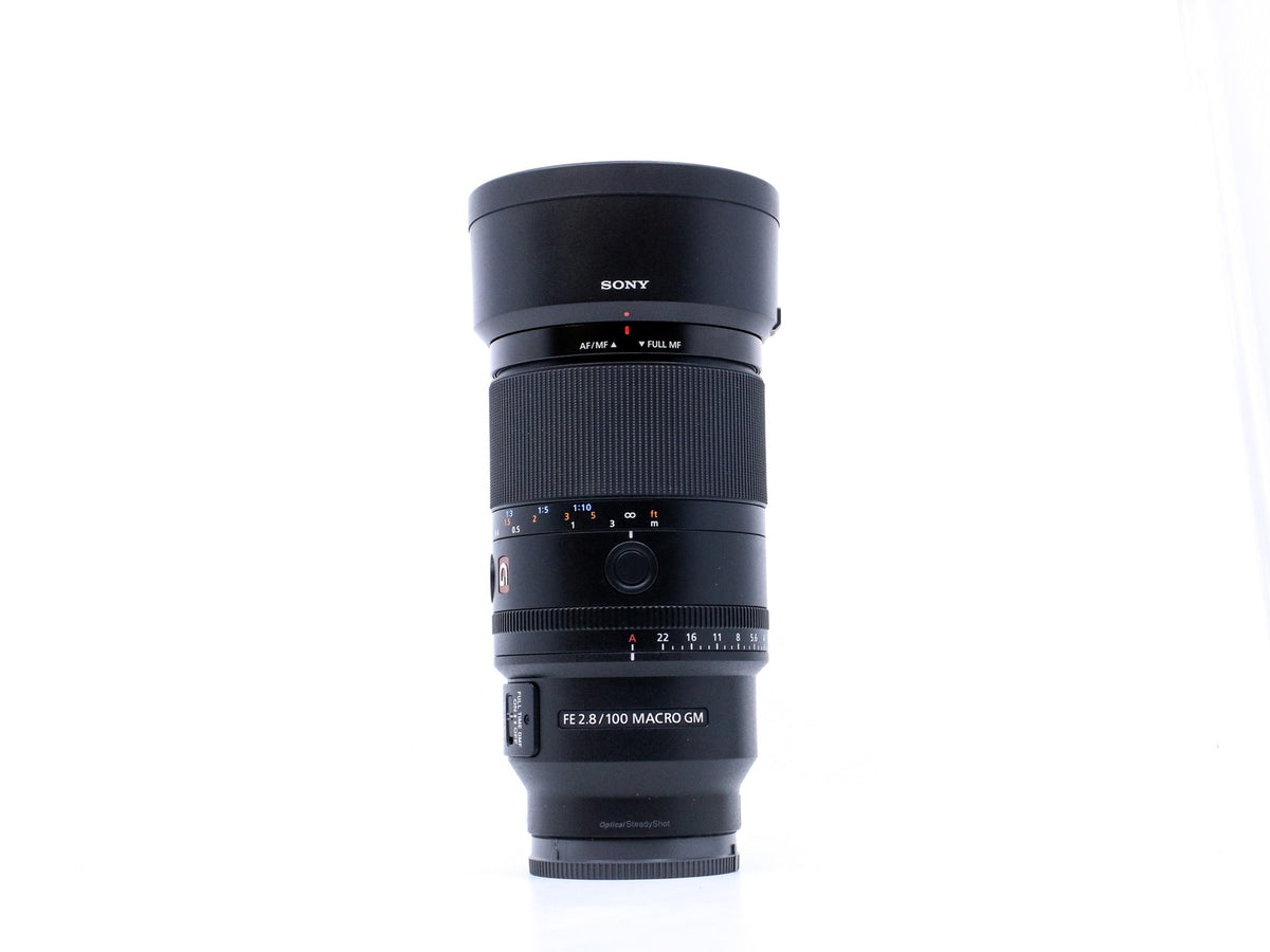 Sony FE 100mm f/2.8 Macro GM OSS · immagine principale