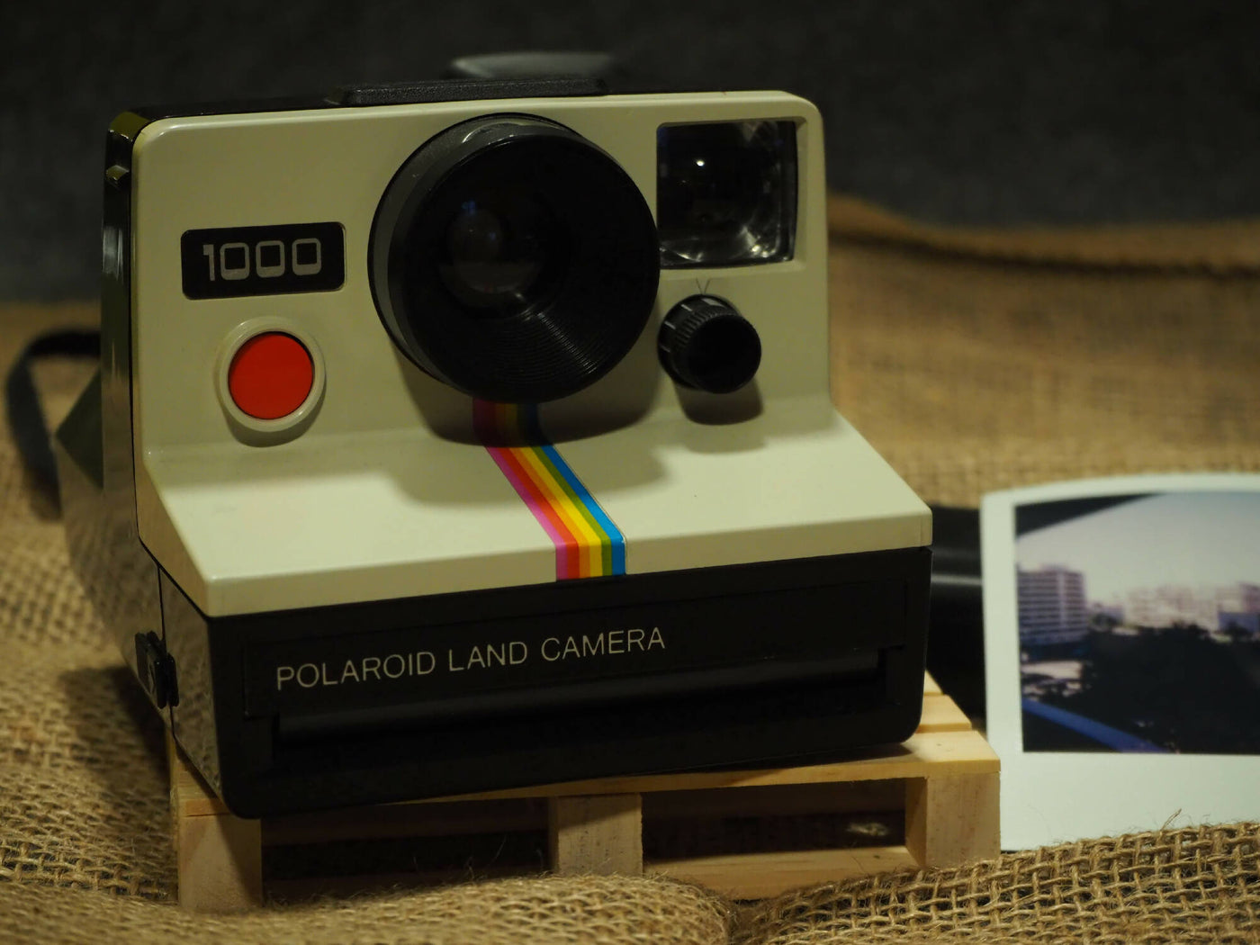Fotocamera terrestre Polaroid 1000 · main image